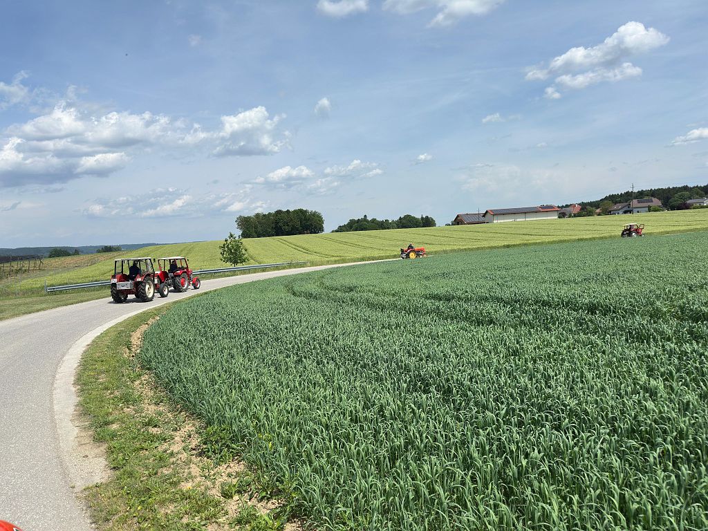 Rossfeld (260).jpg